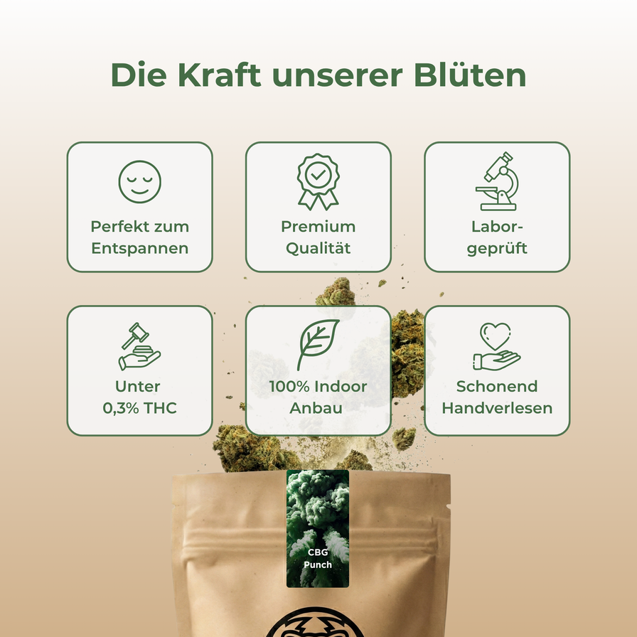 CBG Punch Ökopack Blüten Lucky Hemp