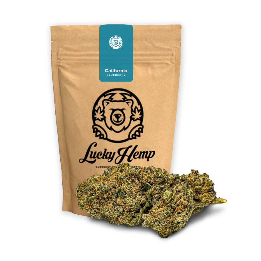 California Blueberry Ökopack Blüten Lucky Hemp   