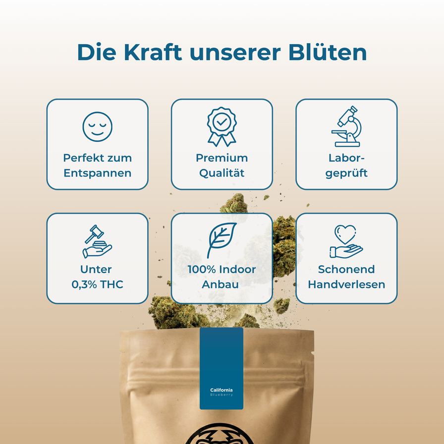 California Blueberry Ökopack Blüten Lucky Hemp