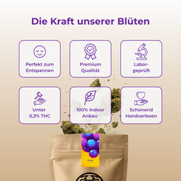 Candy Grape Ökopack Blüten Lucky Hemp