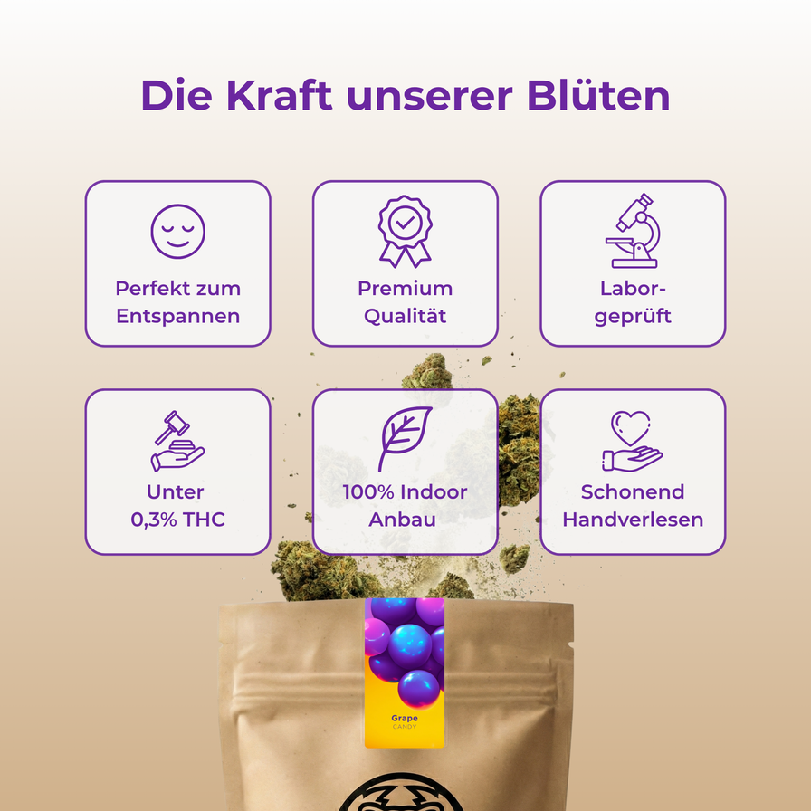 Candy Grape Ökopack Blüten Lucky Hemp