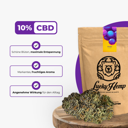 Candy Grape Ökopack Blüten Lucky Hemp