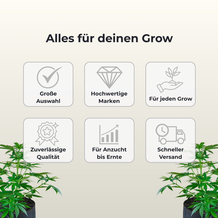 Carson Mikroskop MicroBrite Plus MM-300 Growzubehör Lucky Hemp