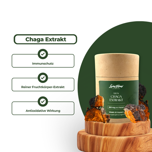 Chaga Vitalpilzextrakt Vitalpilze Lucky Hemp