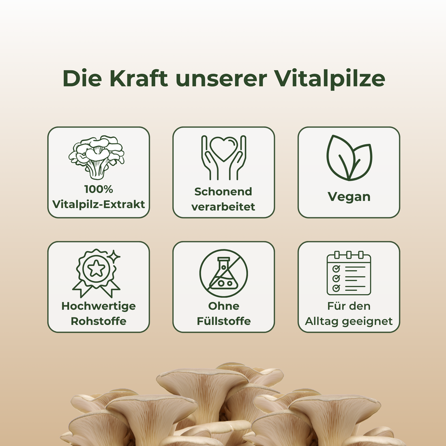Chaga Vitalpilzextrakt Vitalpilze Lucky Hemp