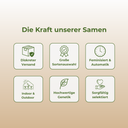 Chemdawg Samen Feminisiert Samen Lucky Hemp