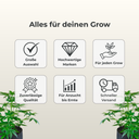 RAM Clip-Ventilator Ø15cm, 15 Watt Growzubehör Lucky Hemp