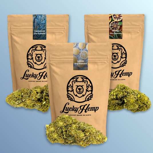 Dry Freezed Blüten Blüten Lucky Hemp