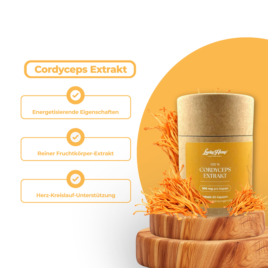 Cordyceps Vitalpilzextrakt Vitalpilze Lucky Hemp