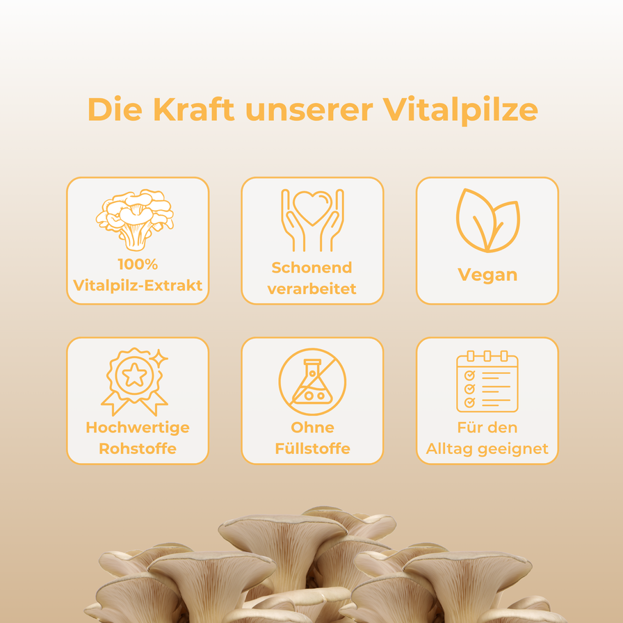 Cordyceps Vitalpilzextrakt Vitalpilze Lucky Hemp