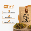 Cream Caramel Ökopack Blüten Lucky Hemp
