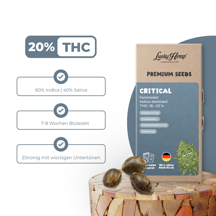 Critical Samen Feminisiert Samen Lucky Hemp