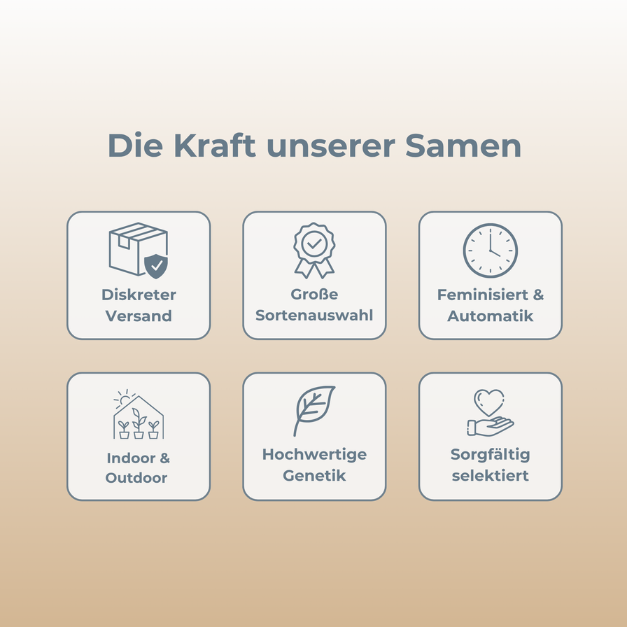 Critical Samen Feminisiert Samen Lucky Hemp