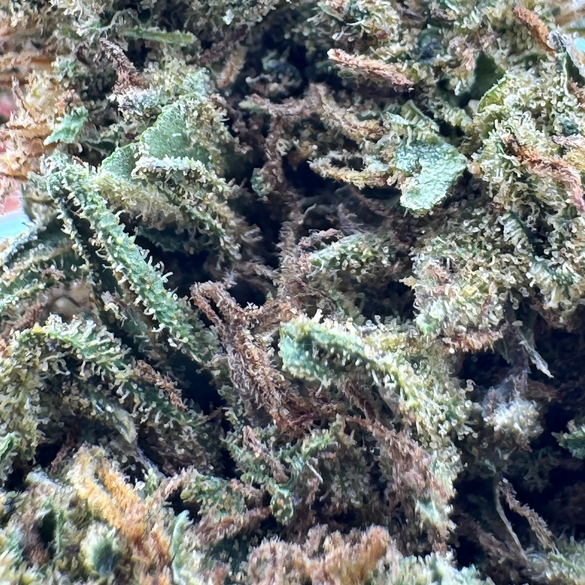 Critical Ökopack Blüten Lucky Hemp