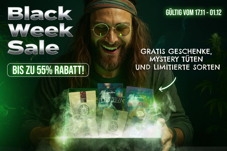 Black Friday CBD-Deals
