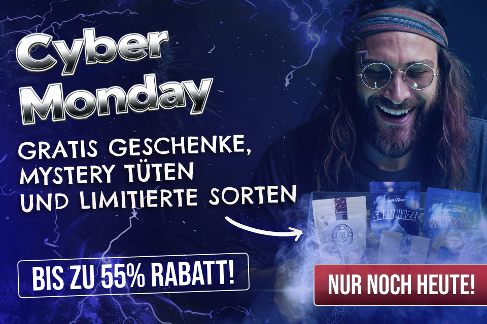 Black Friday CBD-Deals