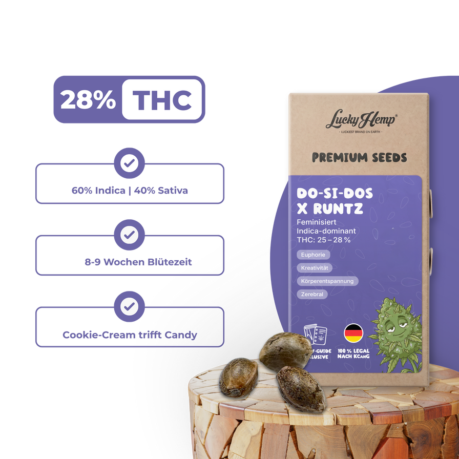 Do-Si-Dos x Runtz Samen Feminisiert Samen Lucky Hemp