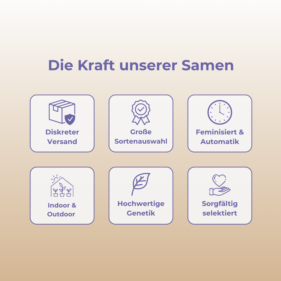 Do-Si-Dos x Runtz Samen Feminisiert Samen Lucky Hemp