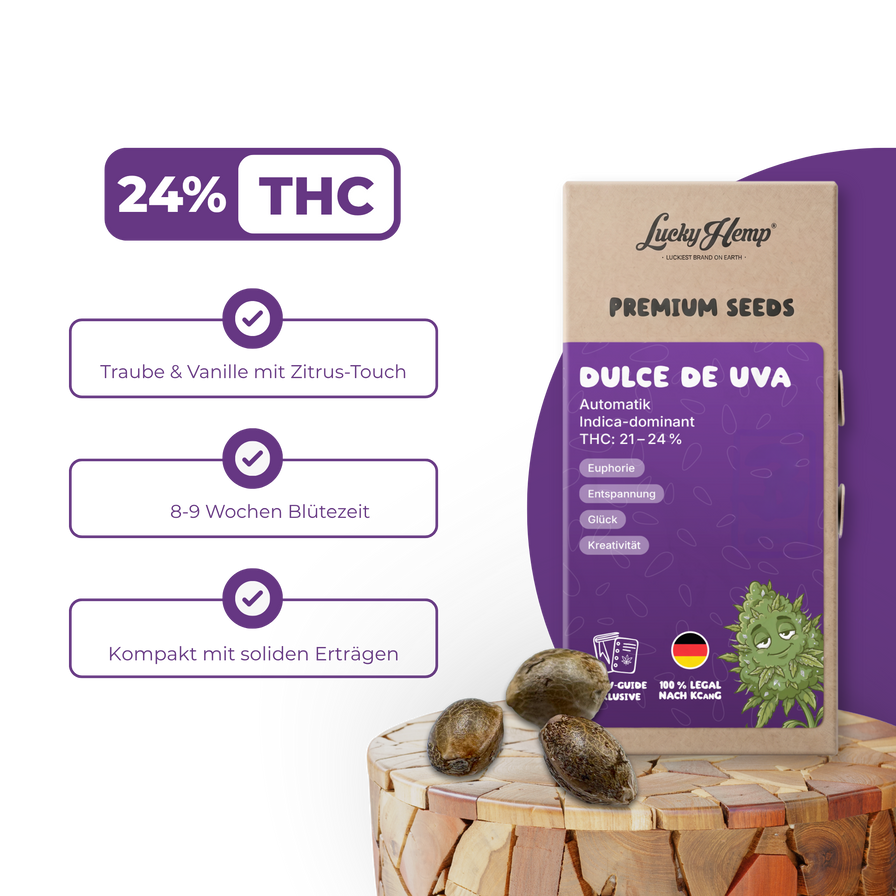Dulce de UVA Samen Automatik Samen Lucky Hemp