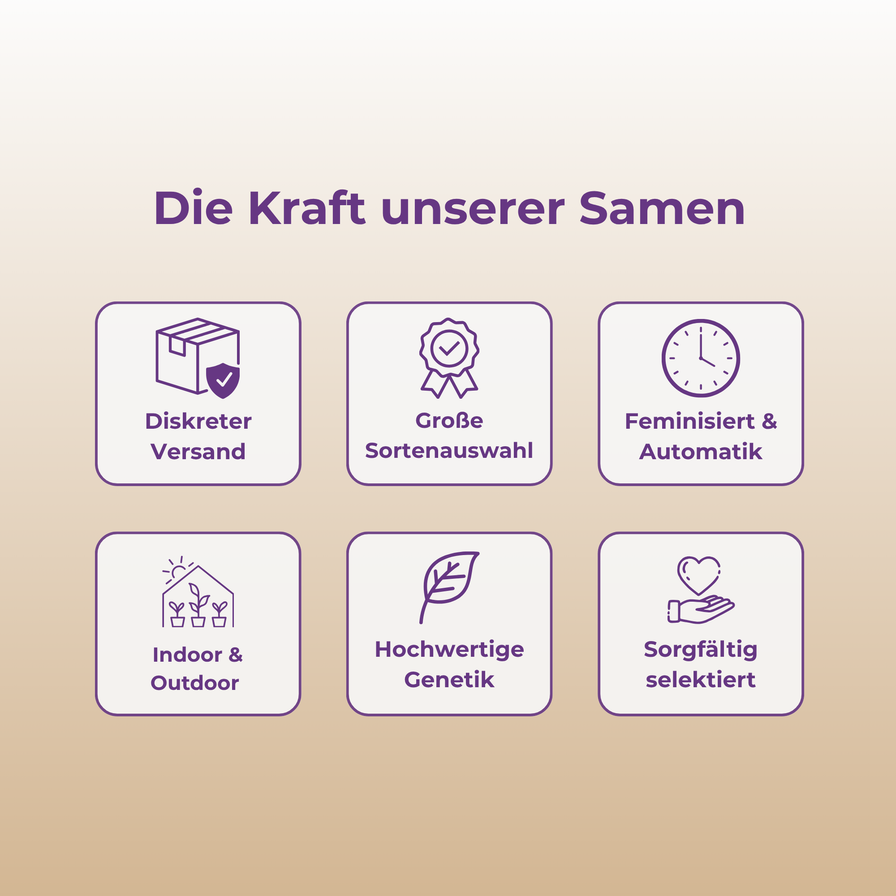 Dulce de UVA Samen Automatik Samen Lucky Hemp