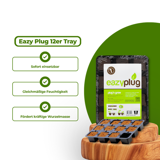 Eazy Plug 12er Tray Growzubehör Lucky Hemp