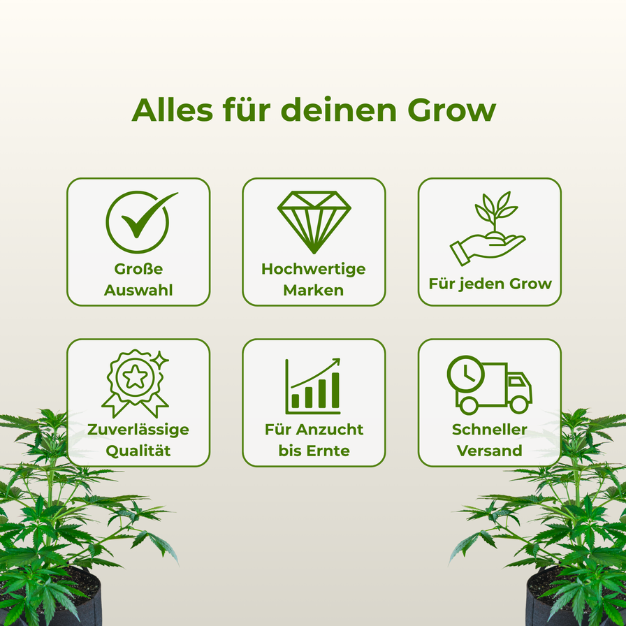 Eazy Plug 12er Tray Growzubehör Lucky Hemp