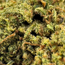 Fruit Cake CBD Ökopack Blüten Lucky Hemp