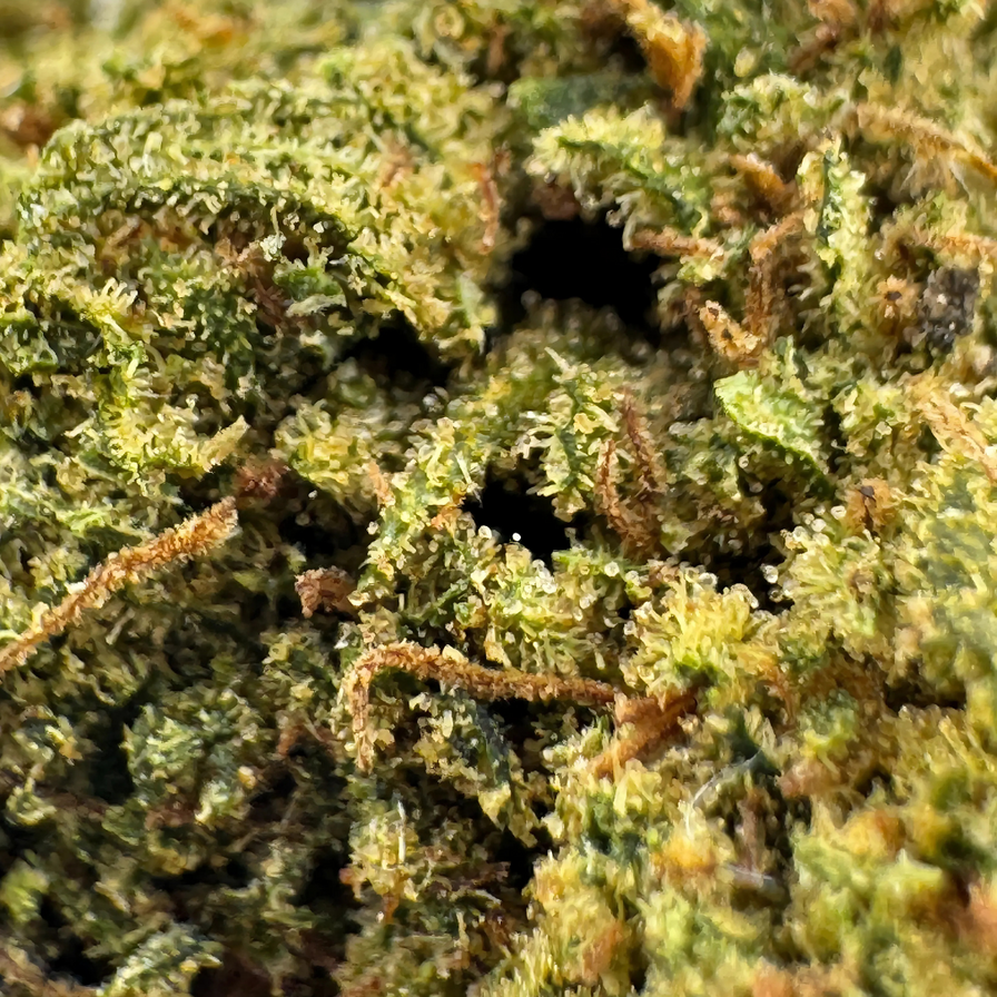 Fruit Cake CBD Ökopack Blüten Lucky Hemp