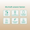Gelato 33 Samen Feminisiert Samen Lucky Hemp