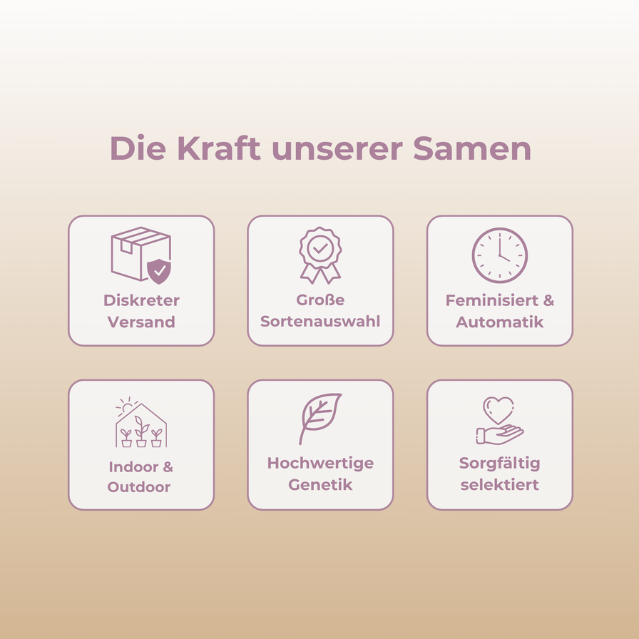 Gelato Samen Automatik Samen Lucky Hemp