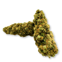 Godzilla Ökopack Blüten Lucky Hemp