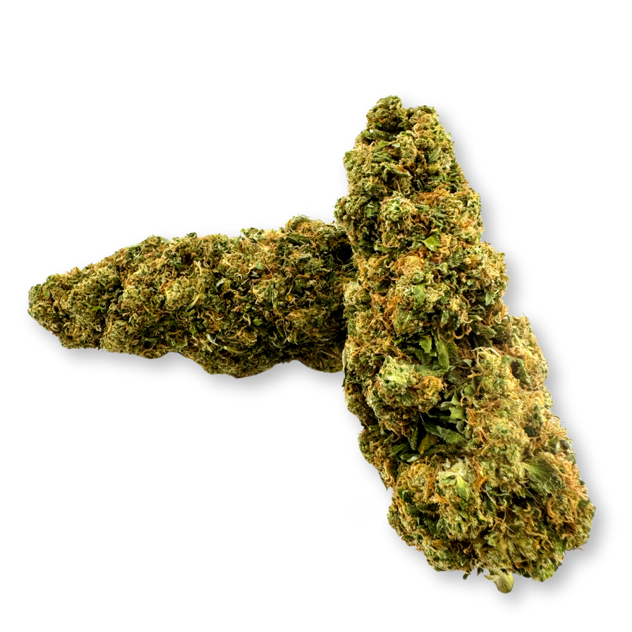Godzilla Ökopack Blüten Lucky Hemp