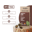 Gorilla Glue Samen Feminisiert Samen Lucky Hemp