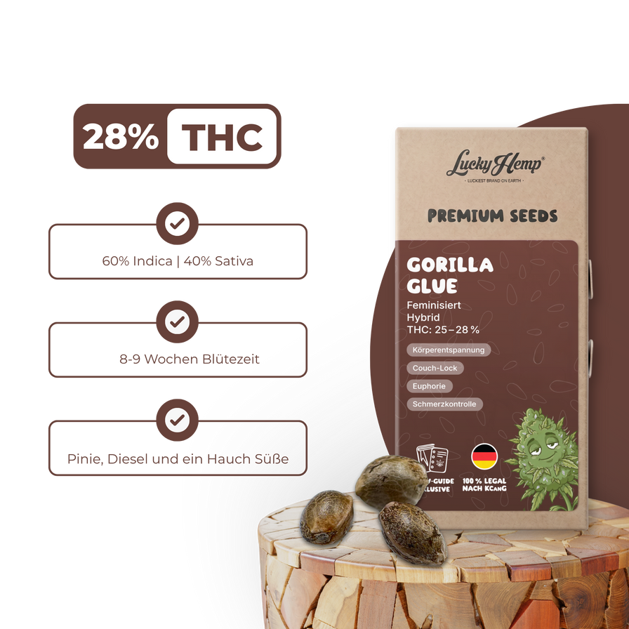 Gorilla Glue Samen Feminisiert Samen Lucky Hemp