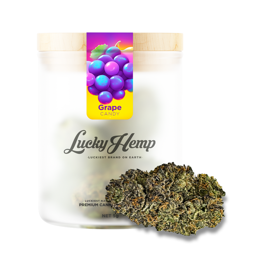 Candy Grape Glas Blüten Lucky Hemp   