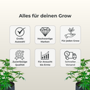 Growbox Komplettset 60x60 Growzubehör Lucky Hemp