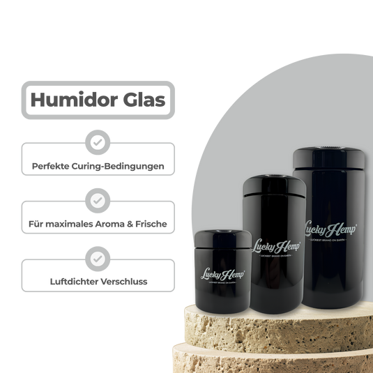 LuckyCure Humidor Glas mit Thermo-Hygrometer Zubehör Lucky Hemp