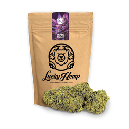 Purple Punch Ökopack Blüten Lucky Hemp