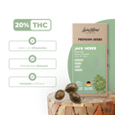 Jack Herer Samen Automatik Samen Lucky Hemp