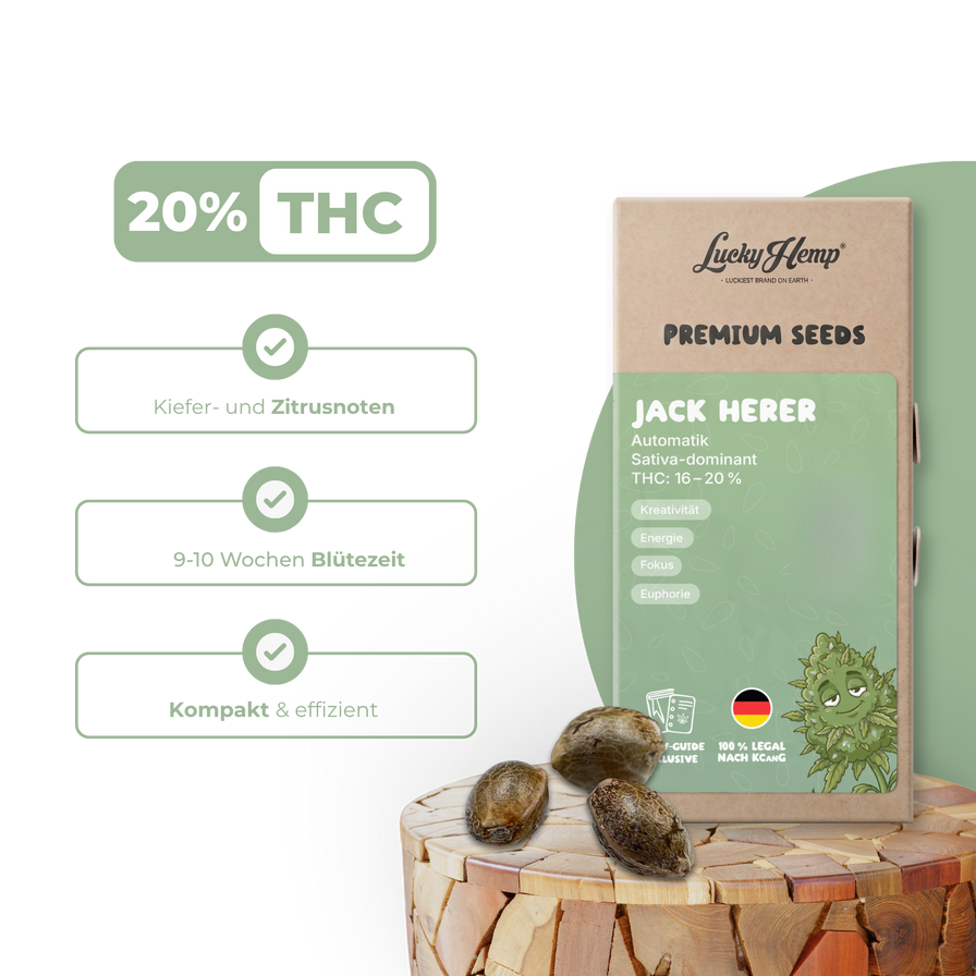 Jack Herer Samen Automatik Samen Lucky Hemp