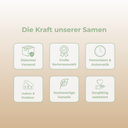 Jack Herer Samen Automatik Samen Lucky Hemp