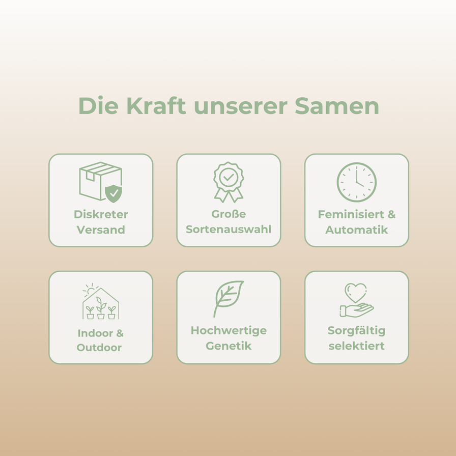 Jack Herer Samen Automatik Samen Lucky Hemp
