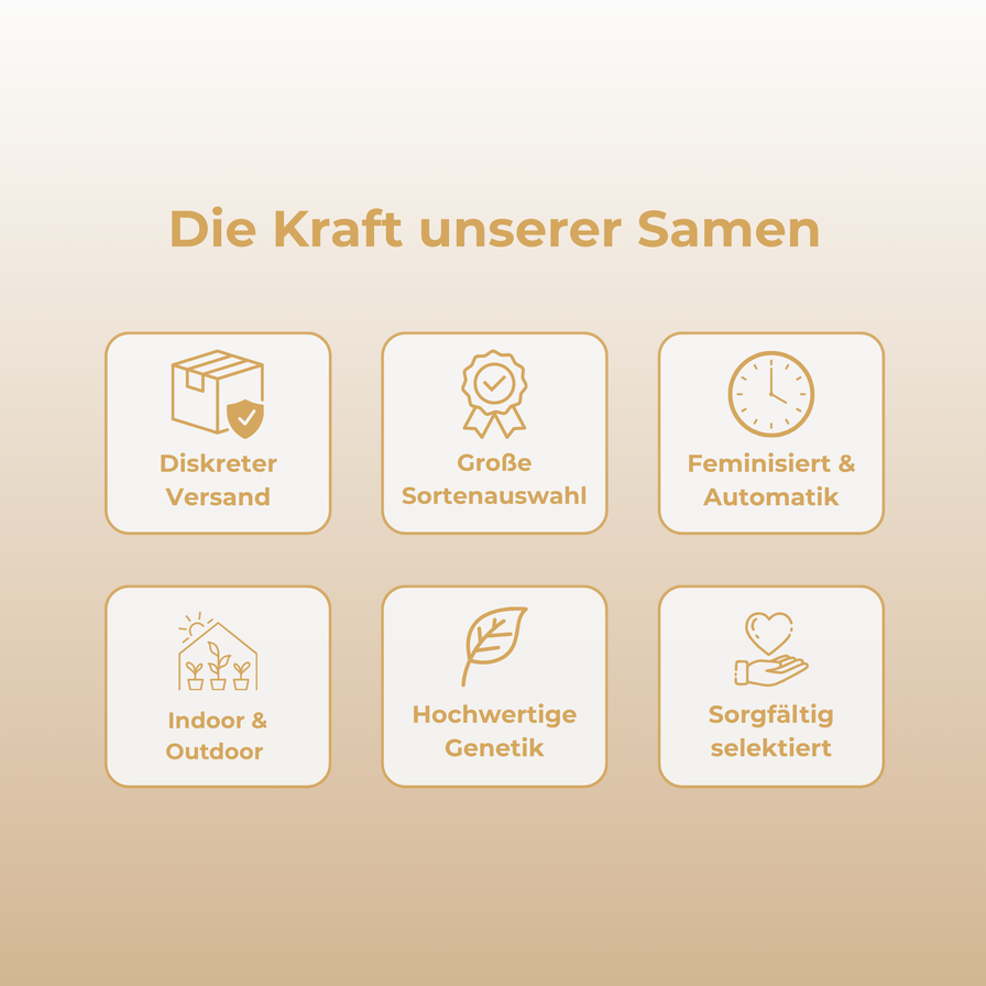 Kosher Kush Samen Feminisiert Samen Lucky Hemp
