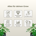 LEDMAXECO LED Panel Growzubehör Lucky Hemp