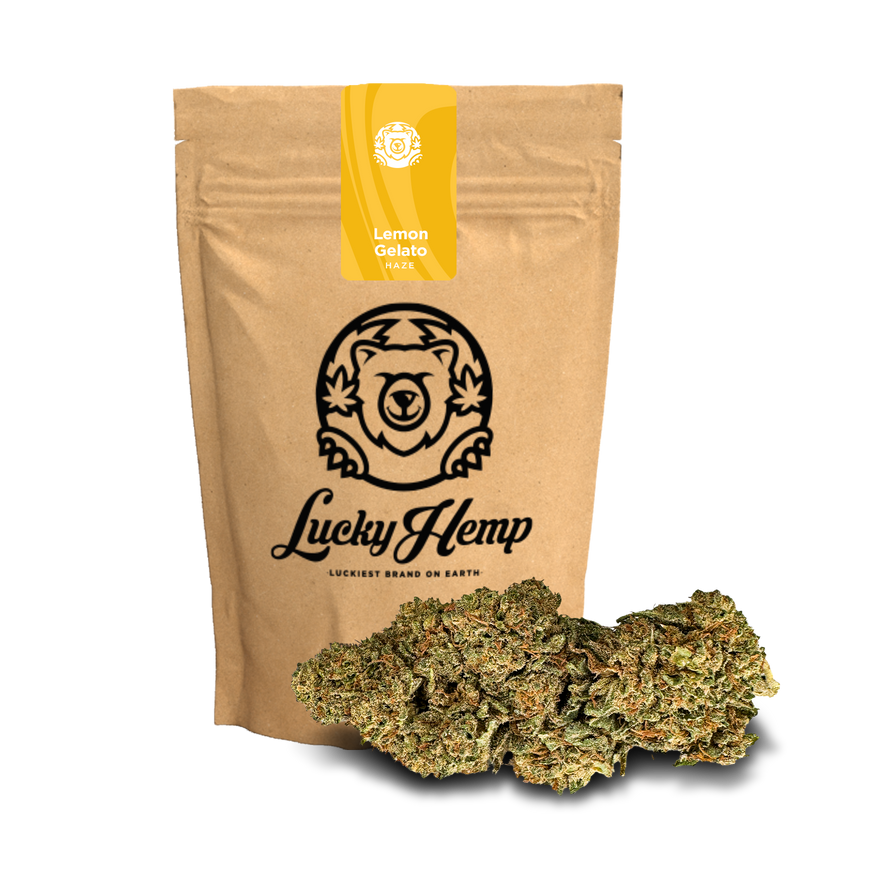 Lemon Gelato Ökopack Blüten Lucky Hemp   