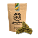 Lemon Pop Ökopack Blüten Lucky Hemp