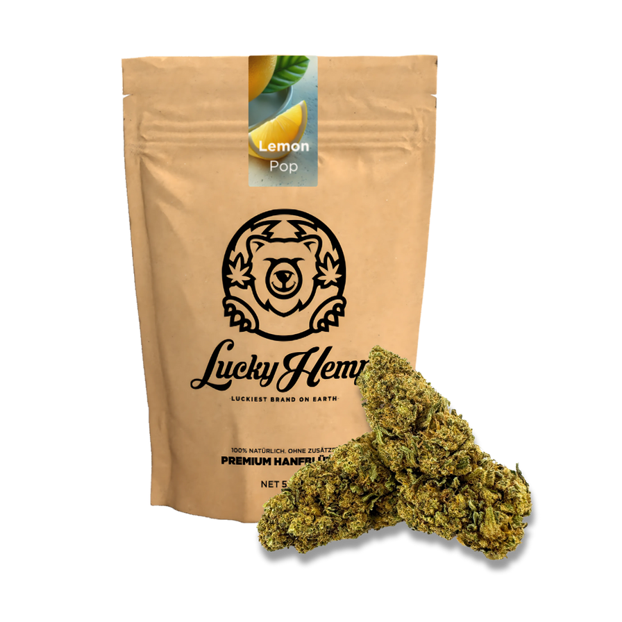 Lemon Pop Ökopack Blüten Lucky Hemp