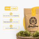 Lemon Gelato Ökopack Blüten Lucky Hemp