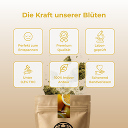 Lemon Kush Ökopack Blüten Lucky Hemp