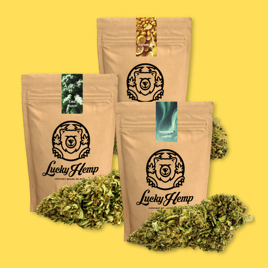 Popcorn Blüten Bundle